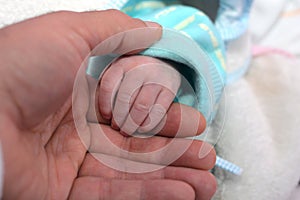 a father hand and his newborn hand together, family care concept, a neonate infant small hand holds his dad hand feeling security