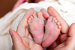 Father hands holding cute beautiful caucasian newborn baby boy little pink feet, one week old in white blanket. Concept