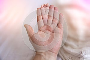 Father Hands Holding Small Baby Feet. Close-up Tiny Baby Feet in Hands.