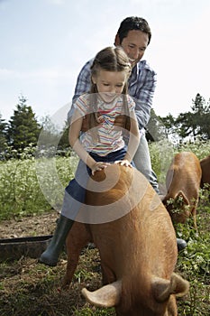 Father Helping Daughter To Ride Pig In Sty photo