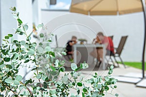 Father and his adorable happy daughter playing  with tablet on terrace under the sun shade with eucalyptus bush on foreground