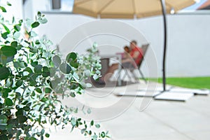 Father and his adorable happy daughter playing  with tablet on terrace under the sun shade with eucalyptus bush on foreground