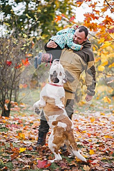 Father with his little daughter and big dog are playing in autumn park