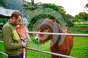 Father with his little daughter feeding a horse