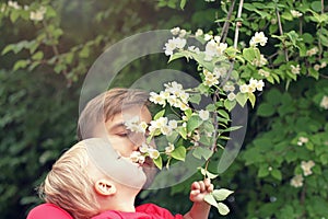 Father and his toddler son sniffing Philadelphus flowers on the branch. It smell like Jasmine. Spring season concept