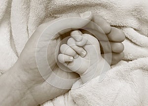 Father hold baby hand in the palm