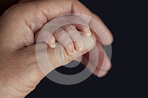 Father holding a newborn baby hand in his. Child hand closeup into parent hands together