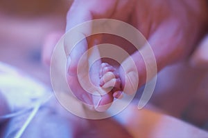 Father holding preemie hand