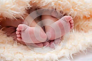 Father holds baby`s feet in his palms