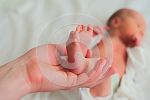 Father holds the feet of newborn. Small legs of child in the hands of parent close-up. Newborn baby care concept