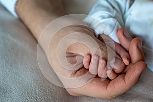 father holds newborn baby's hand, close up family hands together, parent's love
