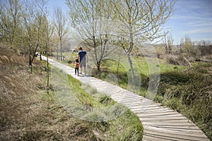 Father and little daughter walking on a path of wooden boards in a wetland