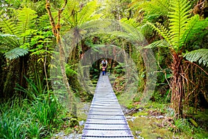 Father with little daughter walking in the rain forest. New Zealand