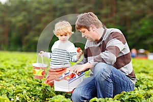 Father and little kid boy on strawberry farm in summer