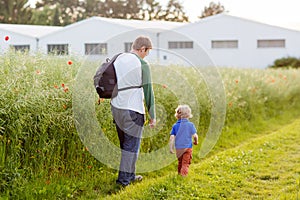 Father and little son boy walking through poppy field in summer