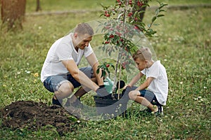 Father with little son are planting a tree on a yard