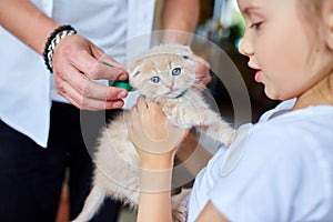 Father man holding little kitten in hand, surprise presenting cat