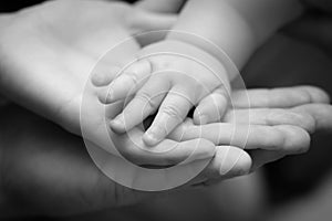 Father, mother and baby`s hands together in black and white