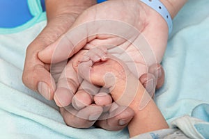 Father and mother hold in their hands a little newborn