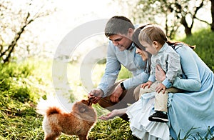 Father, mother, little child playing with dog Spitz