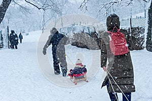 Father and mother pulling children in sleds during snowstorm