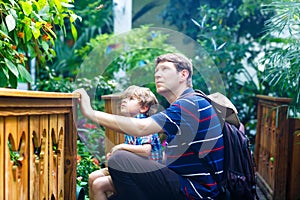 Father and preschool kid boy discovering flowers, plants and butterflies at botanic garden. photo