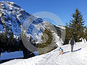 Father pulling his son on a wooden Davos sled in Swiss Alps, Pizol