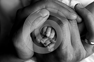 Father& x27;s caring hands hold the little feet of the newborn on a black background, black and white photo