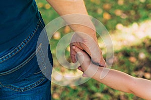 Father`s day. Dad and son. Dad holds the hand of a little son in the park. Little child holding hands with his father outdoors.