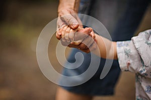 Father's hand lead his child son in summer forest nature outdoor,