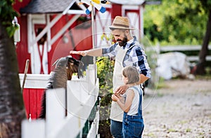 A father with small daughter outdoors on family farm, feeding animals.