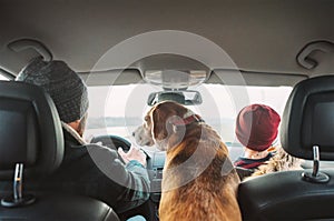 Father with son and beagle dog traveling together by auto rear s