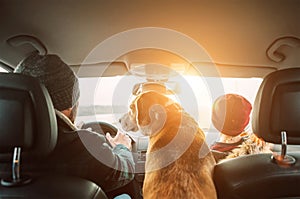 Father with son and beagle dog traveling together by auto rear seats wide angle shoot