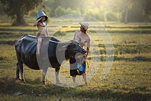 Father and son with a buffalo this lifestyle Thai people in Countryside Thailand.