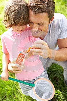 Father And Son In Field With Net And Bug Catcher