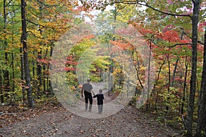 Father and son on forest path