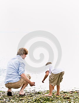 Father and son gathering rocks at beach