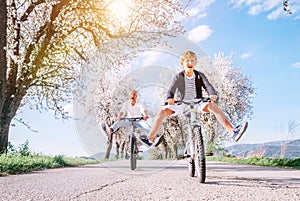 Father and son having fun when riding bicycles on country road under blossom trees. Healthy sporty lifestyle concept image