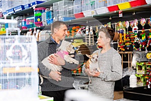 Father with son and little dogs choose products for animals in petshop