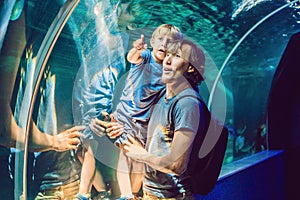 Father and son looking at fish in a tunnel aquarium