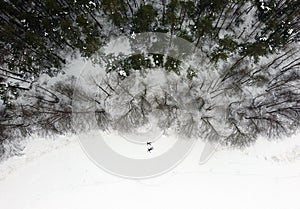 Father and son making snow angels on snow, aerial photo