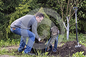 Father and son plant young tree in the garden. Concept family work, hobbies, planting seedling
