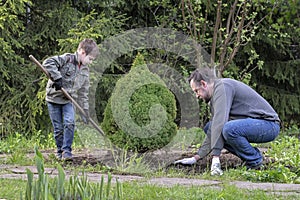 Father and son planted young tree in the garden and leveled the ground with rake