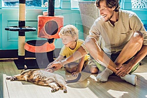 Father and son playing with a cat