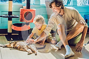 Father and son playing with a cat