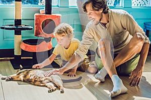 Father and son playing with a cat