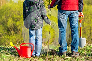 Father and son schoolboy in spring plant a tree shoot in the park concept family, help