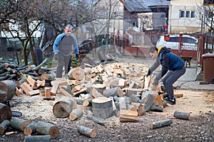 Father and son splitting wood