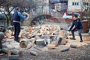 Father and son splitting wood