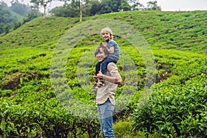 Father and son are traveling on a tea plantation in Malaysia. Tr